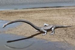 Ученые раскрыли загадку доисторического чудовища с очень длинной шеей