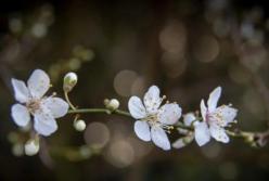 Прогноз погоды на 18 февраля: будет по-весеннему тепло