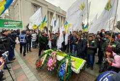 Мертвую свинью, которую принесли под Раду, похоронят в центре Киева (фото)