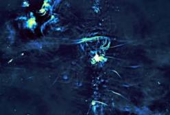 Ученые обнаружили гигантские пузыри в центре Млечного Пути 