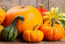 Предотвращает рак, улучшает работу сердца, ускоряет метаболизм: врачи рассказали о пользе тыквы