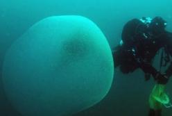 Ученые раскрыли тайну загадочных «шаров» у берегов Норвегии