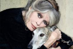 Смерть Бріжіт Бардо офіційно підтвердили, з'явилася реакція Макрона