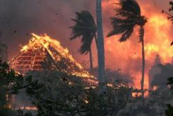 Пожежі на Гаваях: кількість загиблих зростає, згоріло історичне місто, люди ховаються від вогню в океані (відео)