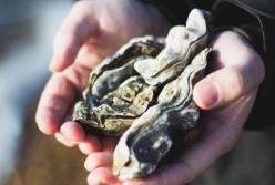 Врачи назвали лучший продукт для профилактики инфаркта