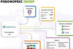 О чем говорят отзывы о брокерской компании РобоФорекс