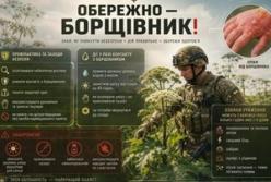 Борщівник: як уникнути серйозних опіків під час виконання завдань