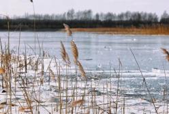 В Харьковской области дети провалились под лед, двое погибли