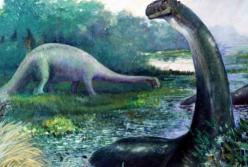 Ученые выяснили, почему динозавры вырастали до огромных размеров