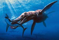 Ученые обнаружили останки древнейшего морского чудовища (фото)