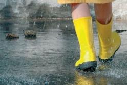 Прогноз погоды на 4 ноября: в Украину идет резкое потепление 