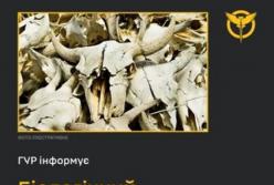 Росія створює умови для спалаху сибірської виразки на Херсонщині, звинувачують у ГУР
