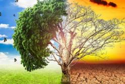 Ученые выяснили, каким будет климат Земли через несколько лет