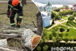 Киян стурбували плани зрізання дерев на історичних пагорбах