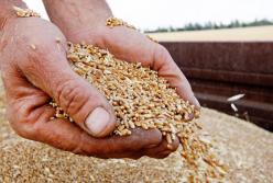 Украина обновила рекорд по экспорту зерна
