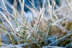 Украинцев предупредили об ухудшении погоды: ожидаются заморозки