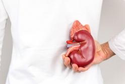 7 признаков нездоровых почек