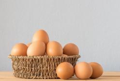 Диетологи рассказали о вреде яиц