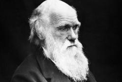 Ученые опровергли одну из теорий Дарвина