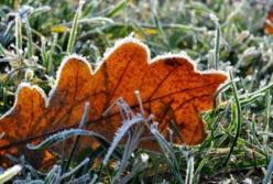 В Украине похолодает до -12