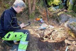 В Швеции нашли уникальный клад возрастом 2500 лет (фото)