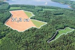 Лимит земли "в одни руки" может быть пересмотрен - Разумков