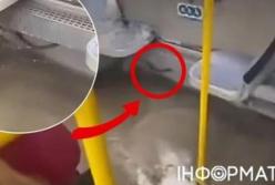 Тролейбус-джакузі: Київпастранс пропонує «водні процедури» замість комфорту