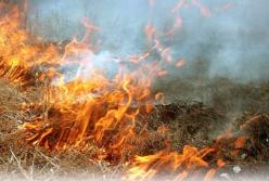 В Черниговской области в траве обнаружили обгоревший труп