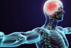 Иммунолог описал начало старения организма