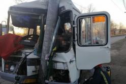 На Житомирщине автобус влетел в столб, есть жертвы (фото)