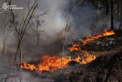 Біля Чорнобиля поширилася масштабна пожежа, найскладніша ситуація на березі Прип’яті