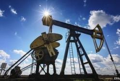 Новое загрязнение: Польша приостанавливала транзит нефти