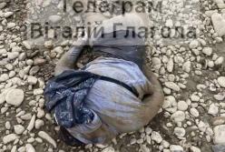 Шість тіл виявили в Тисі за один день (фото)
