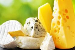 Ученые выяснили, к чему приводит ежедневное употребления сыра