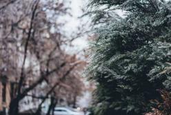 Прогноз погоды на 21 декабря: в Украине ударят морозы, местами до -12 градусов