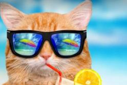 Прогноз погоды на 24 июня: жара до +35, местами грозы