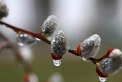 ​В вербное воскресенье в Украине дожди, усиление ветра и заморозки