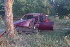 В Николаевской области случилось смертельное ДТП (фото)