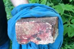 На Днепропетровщине две женщины с кирпичом напали на односельчанку (фото)