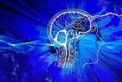 Ученые выяснили, что алкоголь уменьшает мозг