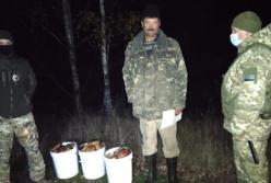 Пограничники изъяли 40 кг грибов из чернобыльской зоны