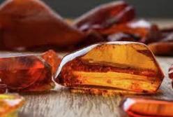 Зеленский подписал закон о добыче янтаря