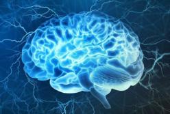 Врачи рассказали, какие продукты ухудшают работу мозга