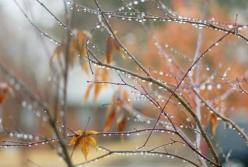 19 ноября: какой сегодня праздник и примета дня 