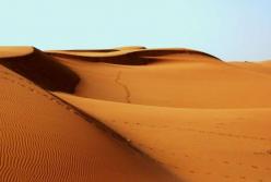 Палеонтологи обнаружили следы в Африке, которым 120 тысяч лет