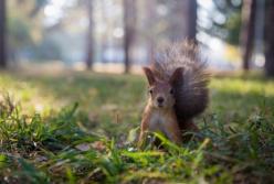 Прогноз погоды на 13 октября: будет тепло и солнечно (карта)