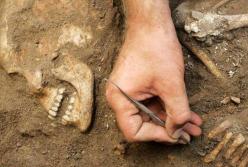 В Перу найдены 250 детей, принесенных в жертву