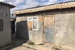 В Запорожской области подросток метнул вилами в лицо мужчине