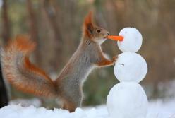 ​Прогноз погоды на выходные 15–16 января
