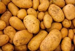 Эксперты рассказали, в каких случаях категорически нельзя есть картошку   